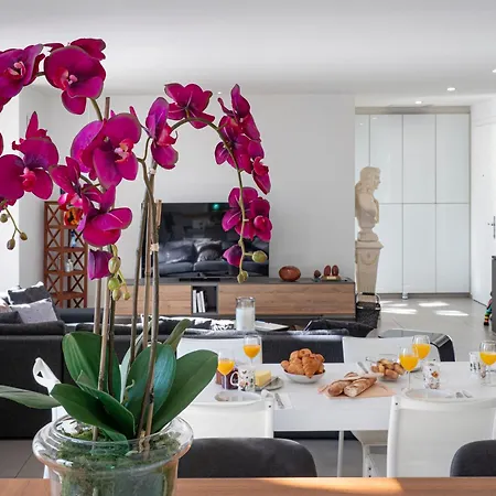 La Dame De France - Apartment Perpignan